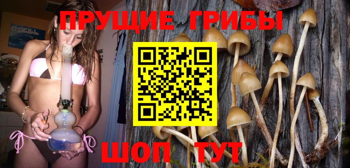Заречный  Псилоцибиновые грибы Magic Shrooms  Вход с VPN 